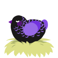 A sable and blurple chicken with a half-lace pattern