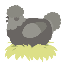 A grey and ash chicken with a head pattern