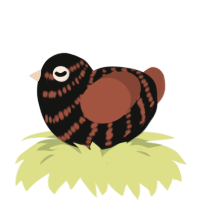 A black and russet chicken with a bar pattern