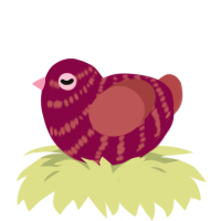 A maroon and red chicken with a bar pattern