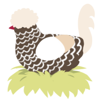 A bark and cream chicken with a lace pattern