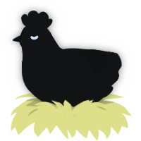 Blackstar, a black chicken with a head pattern