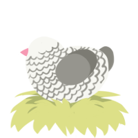 A white and ash chicken with a lace pattern