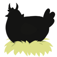 A black chicken
