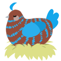 A russet and sky chicken with a bar pattern