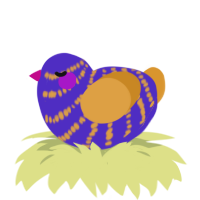 A indigo and orange chicken with a bar pattern