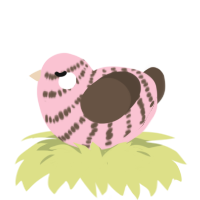 A rose and bark chicken with a bar pattern