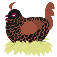 A sable and russet chicken with a lace pattern