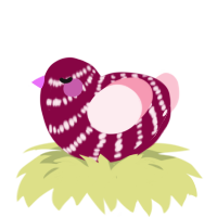 A maroon and rose chicken with a bar pattern