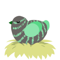 A grey and spring chicken with a bar pattern