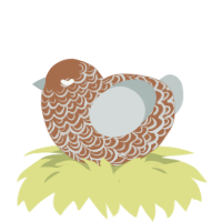 A brown and silver chicken with a double-lace pattern