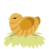 A honey and ochre chicken with a bar pattern