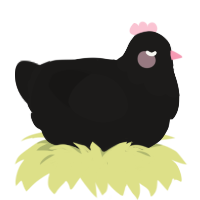 A sable chicken with a bar pattern