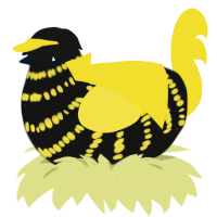 A black and yellow chicken with a bar pattern