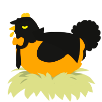 A orange and black chicken with a head pattern