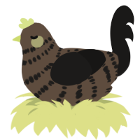 A bark and sable chicken with a bar pattern