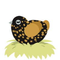 A sable and gold chicken with a speckle pattern