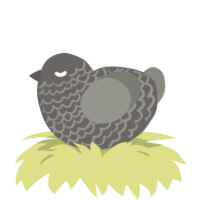 A grey and ash chicken with a lace pattern