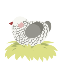 A white and ash chicken with a lace pattern