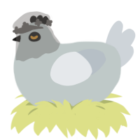 Megatron, a silver and mist chicken
