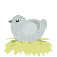 A silver chicken with a lace pattern