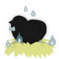 A black chicken with a double-lace pattern