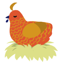 A vermilion and ochre chicken with a lace pattern