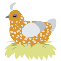 A orange and mist chicken with a speckle pattern