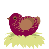A maroon and brown chicken with a half-lace pattern