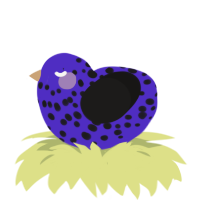 A indigo and sable chicken with a speckle pattern
