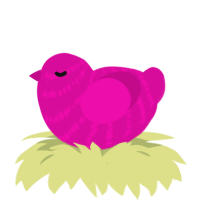 A fuchsia chicken with a bar pattern