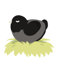 A grey and sable chicken with a head pattern