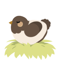 A cream and bark chicken with a head pattern