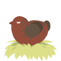 A russet and bark chicken with a half-bar pattern