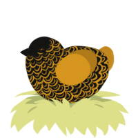 A black and ochre chicken with a double-lace pattern
