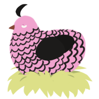 A pink and sable chicken with a lace pattern