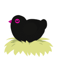A black chicken with a lace pattern