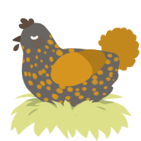 A grey and ochre chicken with a speckle pattern