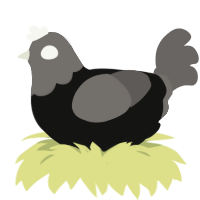 A black and grey chicken with a head pattern