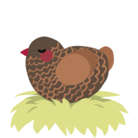 A bark and brown chicken with a lace pattern