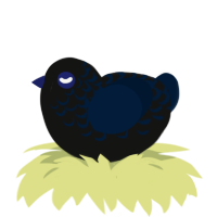 A black and tumblr chicken with a half-lace pattern