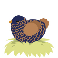 A navy and brown chicken with a lace pattern