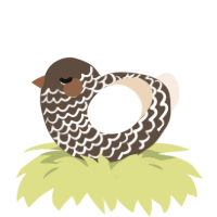 A bark and cream chicken with a lace pattern