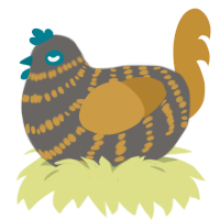 A grey and gold chicken with a bar pattern