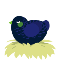 A tumblr and navy chicken with a half-lace pattern