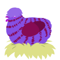A blurple and wine chicken with a bar pattern