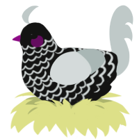 A black and silver chicken with a lace pattern