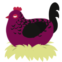 A wine and black chicken with a half-lace pattern