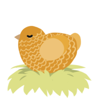 A orange and honey chicken with a lace pattern