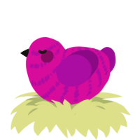A fuchsia and plum chicken with a bar pattern